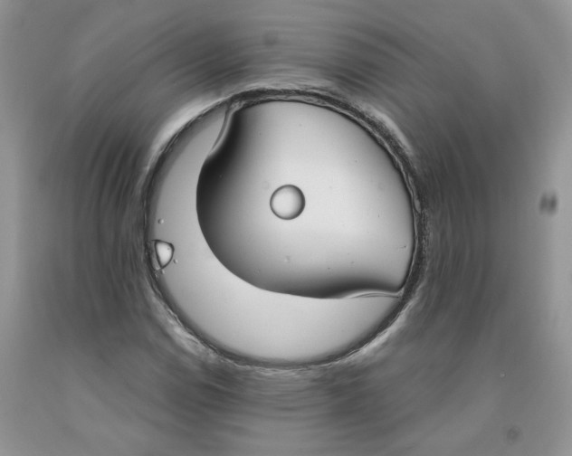 X0000091301114200709071047