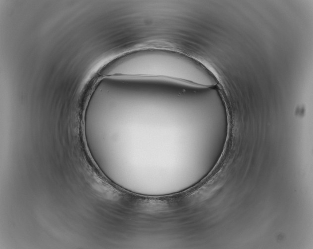 X0000091301115200709071047