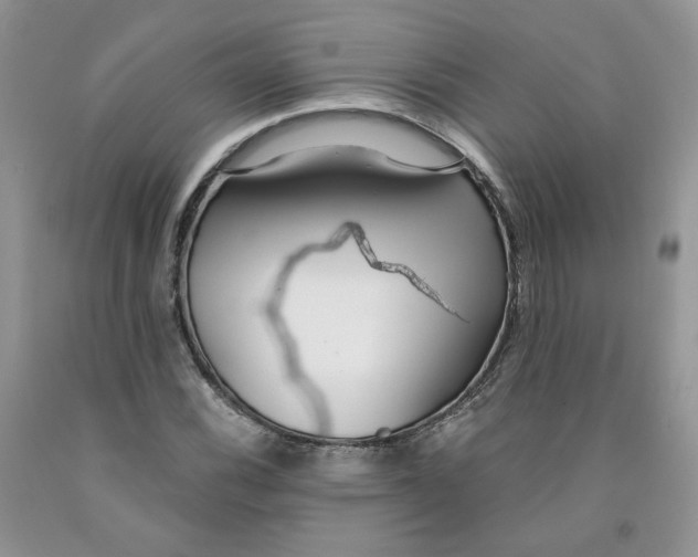 X0000091301116200709071047