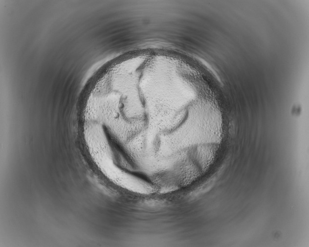 X0000091301117200709071047