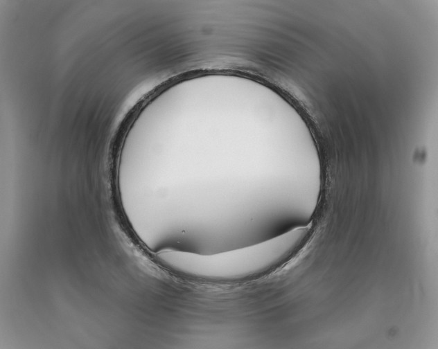 X0000091301122200709071047