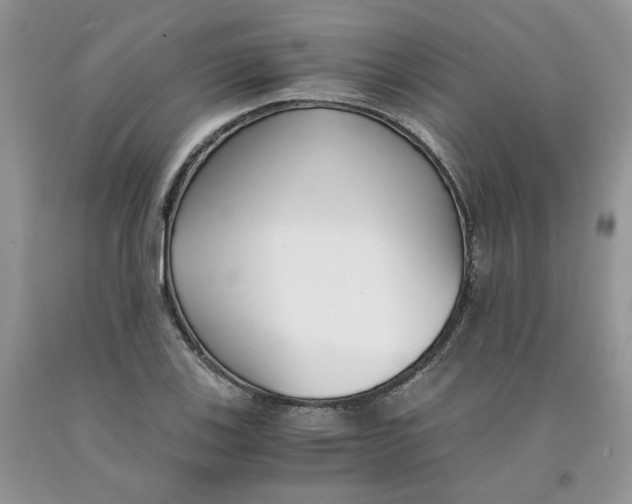 X0000091301123200709071047