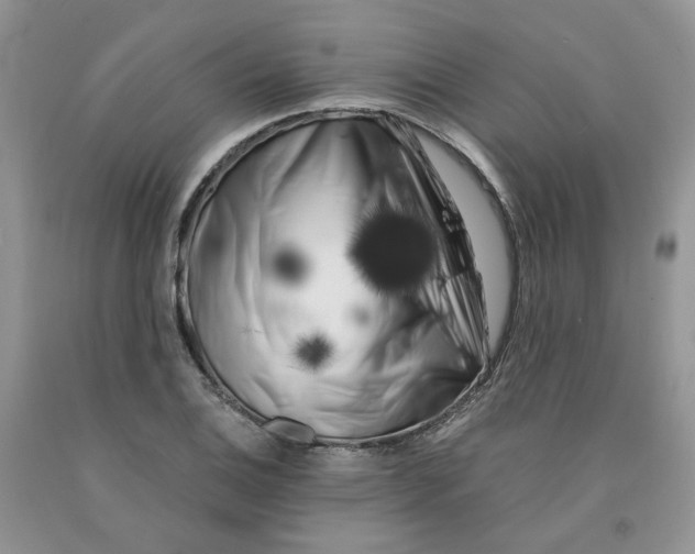 X0000091301124200709071047