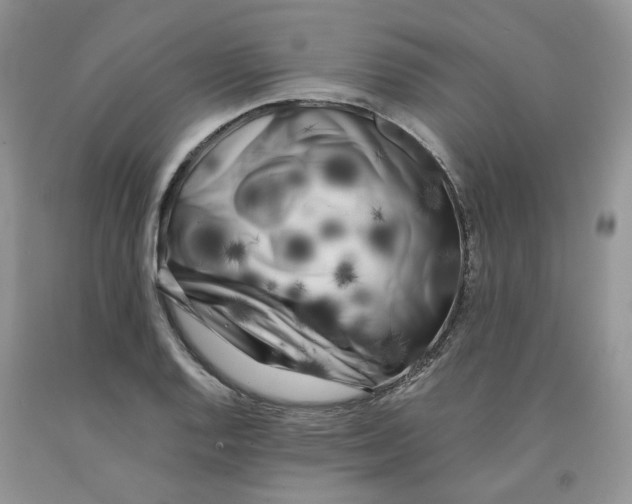 X0000091301128200709071047