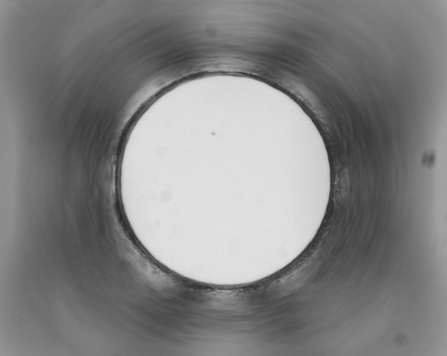 X0000091301130200709071047