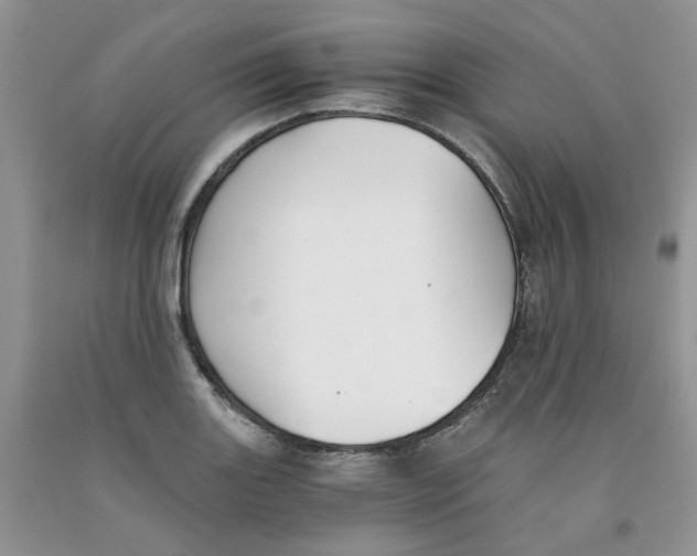 X0000091301131200709071047