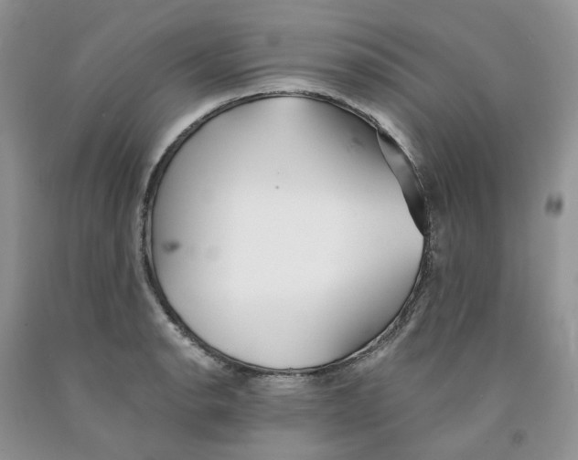 X0000091301134200709071047