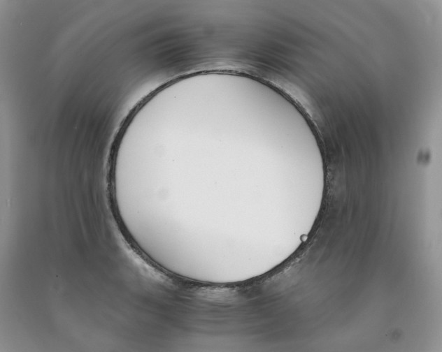 X0000091301135200709071047