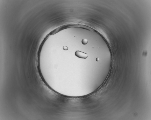 X0000091301136200709071047