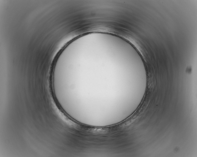 X0000091301139200709071047