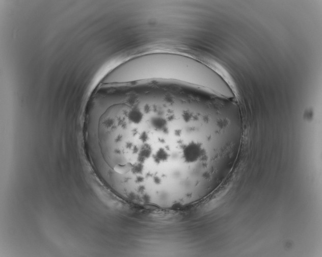 X0000091301146200709071047