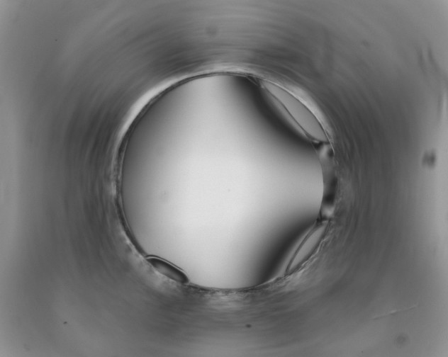 X0000091301148200709071047