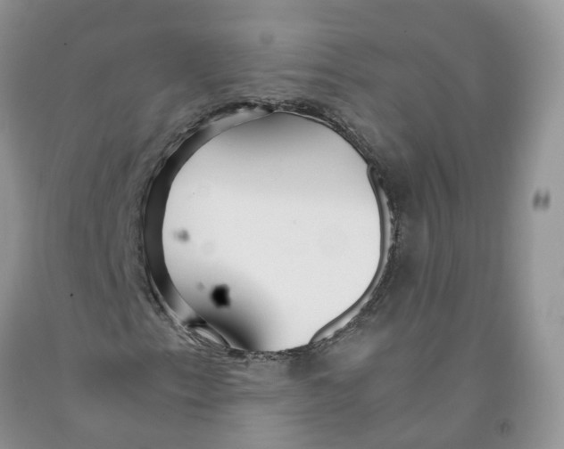 X0000091301153200709071047