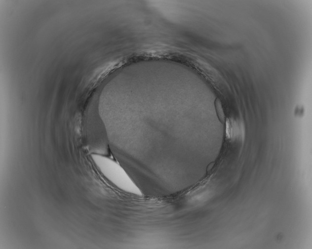 X0000091301155200709071047