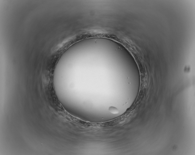 X0000091301157200709071047