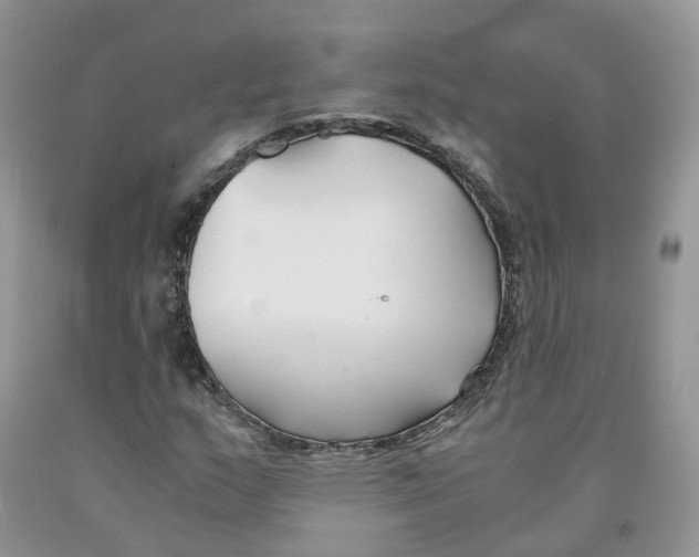 X0000091301159200709071046