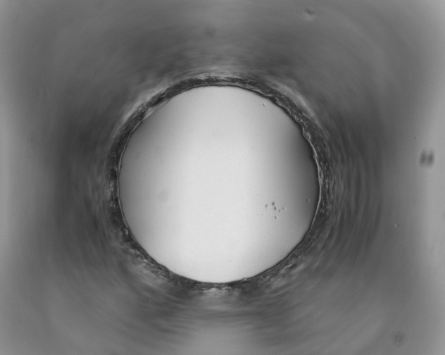 X0000091301160200709071046