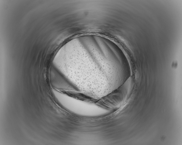 X0000091301161200709071046