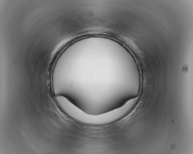 X0000091301164200709071046