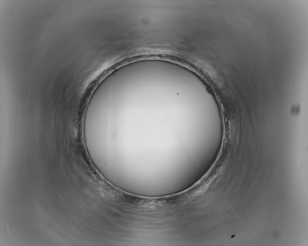 X0000091301165200709071046