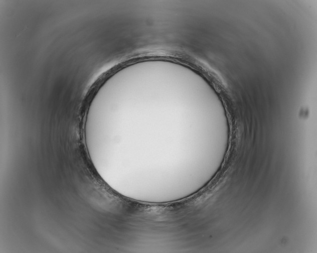 X0000091301166200709071046