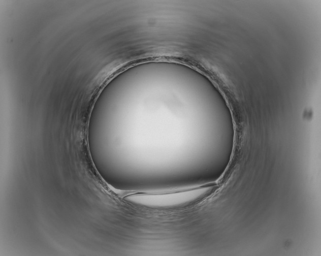 X0000091301169200709071046