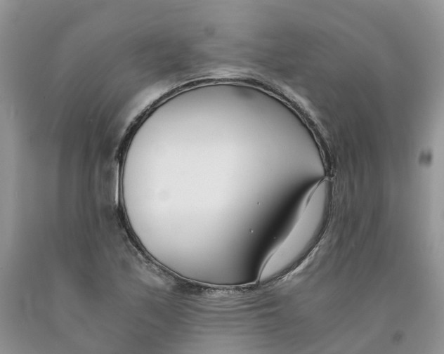 X0000091301171200709071046