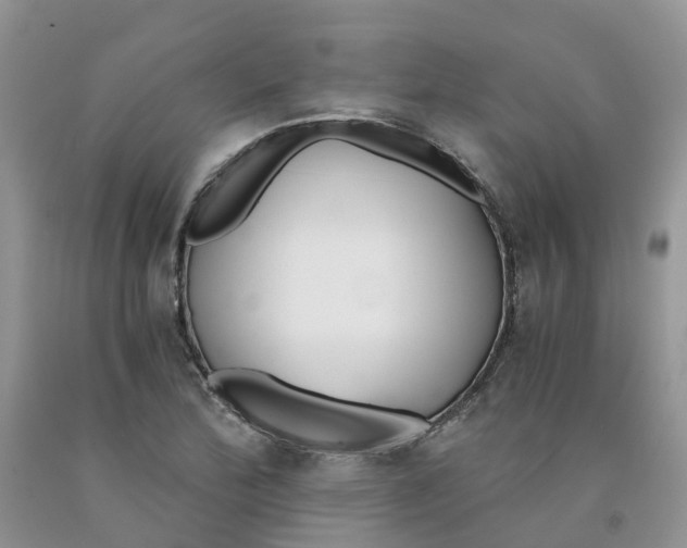 X0000091301172200709071046