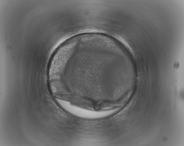 X0000091301173200709071046