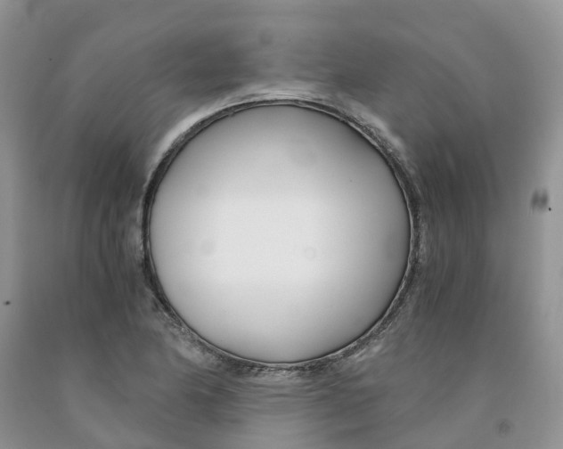 X0000091301174200709071046