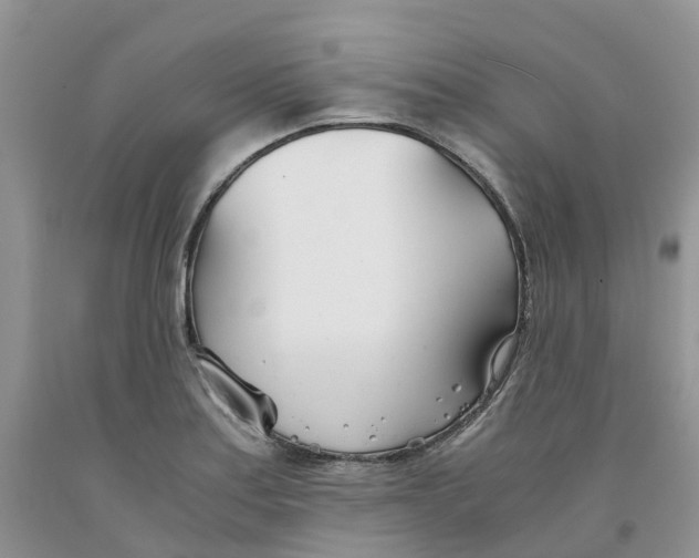 X0000091301179200709071046