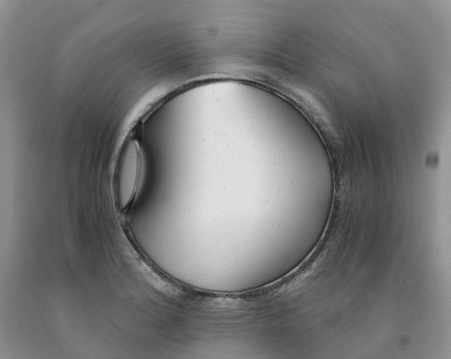 X0000091301180200709071046