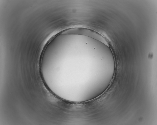 X0000091301181200709071046