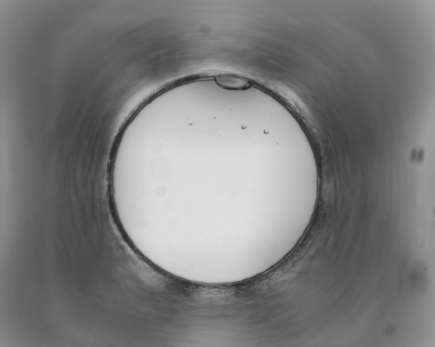 X0000091301183200709071046