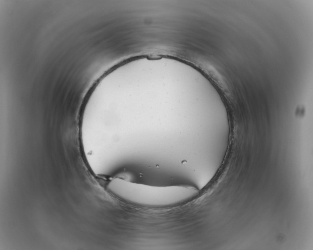 X0000091301184200709071046