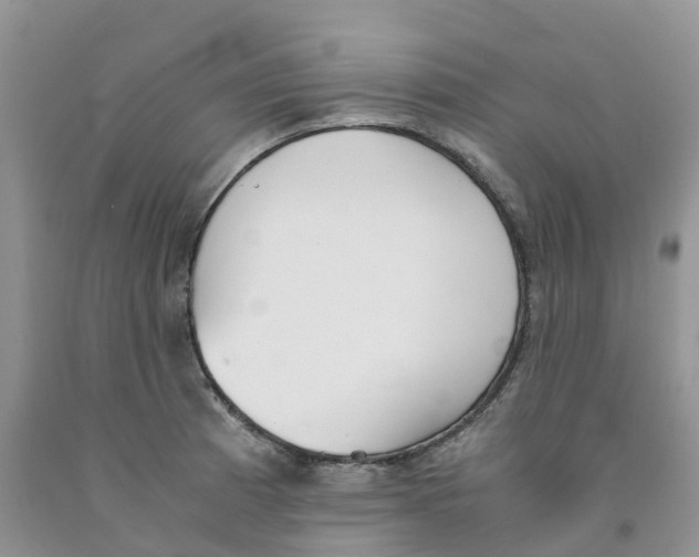 X0000091301185200709071046