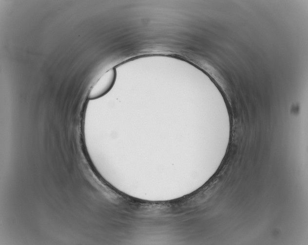 X0000091301187200709071046