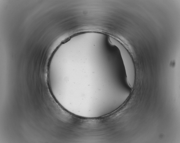 X0000091301188200709071046