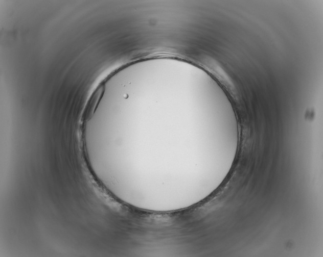 X0000091301190200709071046