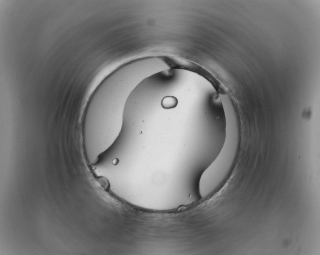 X0000091301192200709071046