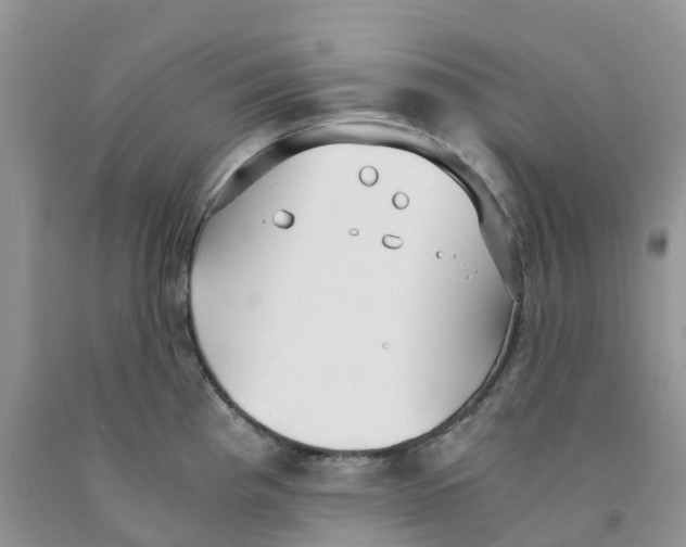 X0000091301193200709071046