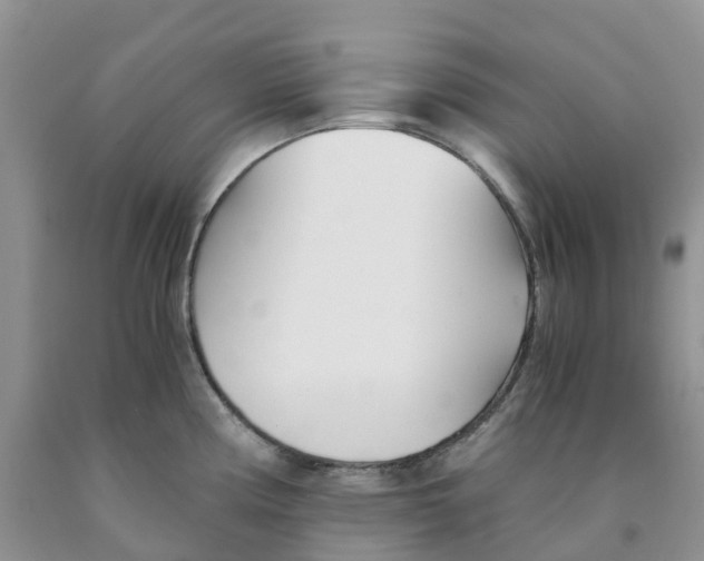 X0000091301194200709071046