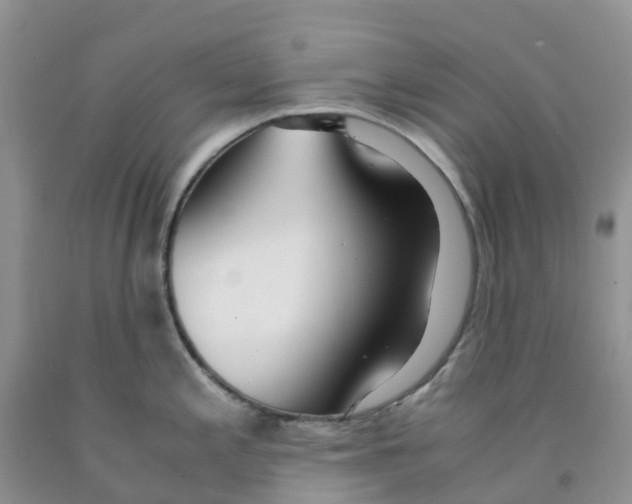 X0000091301197200709071046