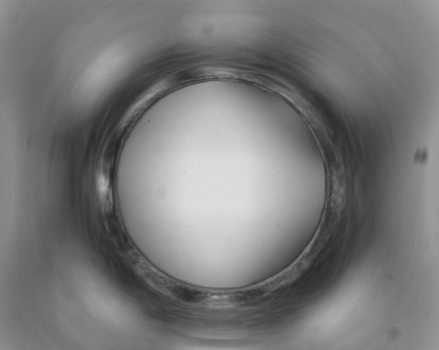 X0000091301198200709071046