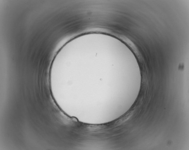 X0000091301199200709071046