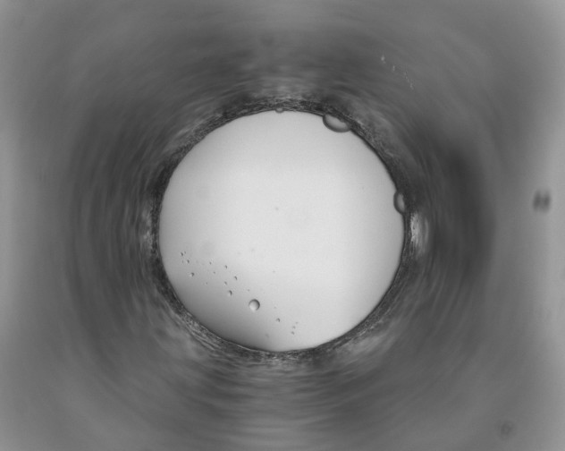 X0000091301203200709071045