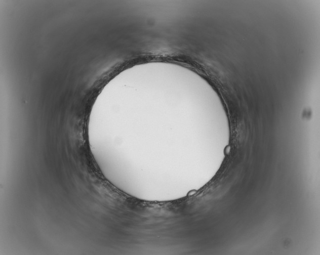 X0000091301205200709071045