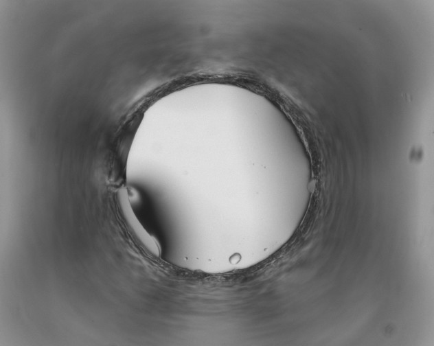 X0000091301206200709071045