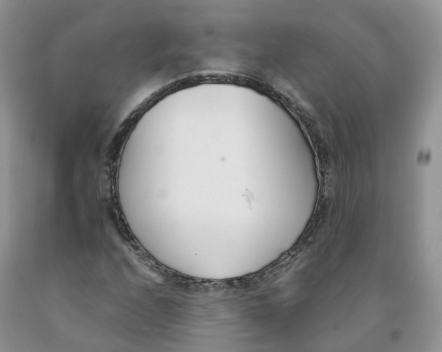 X0000091301208200709071045