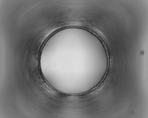 X0000091301212200709071046